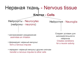 Нервная ткань