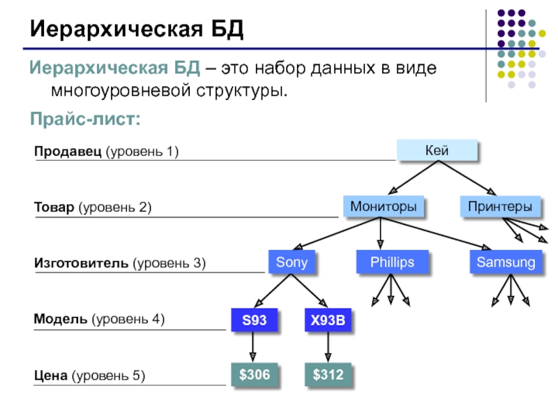 База данных это набор данных. Иерархическая модель. Иерархическая база данных. Иерархическая модель данных схема. Дерево иерархии.