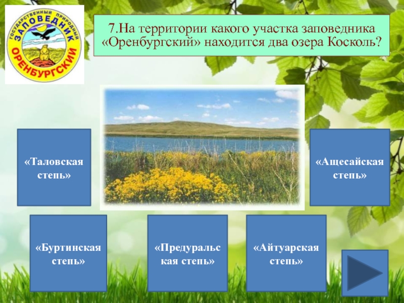 В какой природной зоне находится оренбургская область. Таловская степь заповедник. Оренбургский заповедник Буртинская степь. Заповедники Оренбургской области. Заповедник Оренбургский участки.