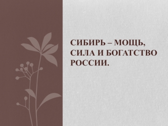 Сибирь – мощь, сила и богатство России