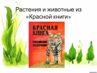 Растения и животные из красной книги