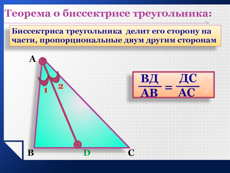 Любая биссектриса треугольника делит его пополам. Биссектриса треугольника делит. Биссектриса Дели стороу. Св-ва биссектрисы треугольника. Теорема о биссектрисе треугольника.