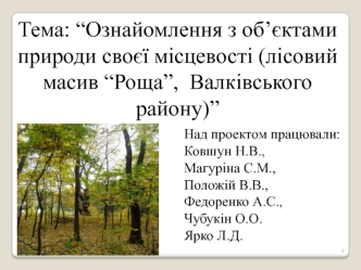 Ознайомлення з об’єктами природи своєї місцевості (лісовий масив “Роща” Валківського району)