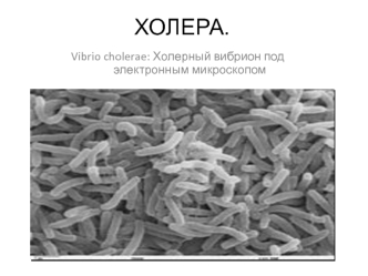 Холера. Vibrio cholerae: холерный вибрион под электронным микроскопом