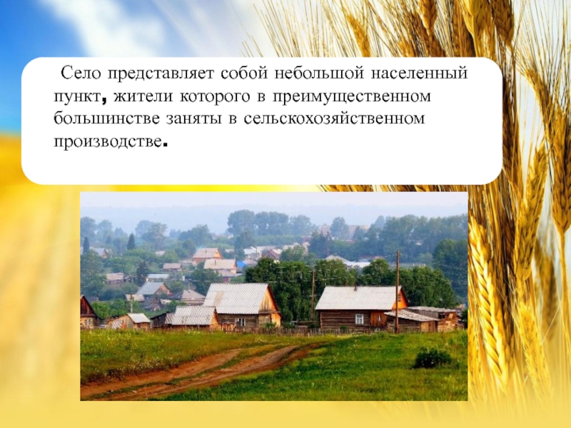Реферат: Проблемы экологии сельскохозяйственного производства