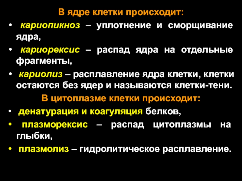 В ядре клетки осуществляется. Стадии умирания ядра клетки. Сморщивание ядра клетки называется. Стадии некроза и изменения в ядре и цитоплазме. Кариолиз.