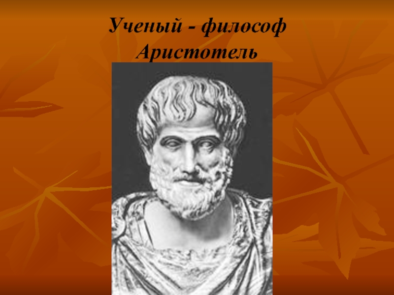 Биография аристотеля. Аристотель Великий философ. Аристотель ученый. Аристотель величайший мыслитель древности. Аристотель география 5.