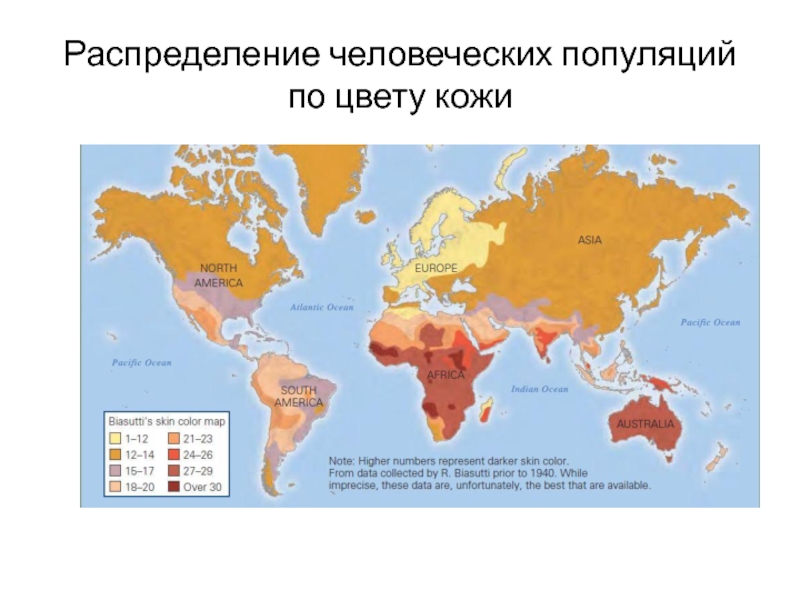 Человеческая популяция. Где в России больше всего светловолосых людей.