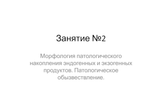 Морфология патологического накопления эндогенных и экзогенных продуктов. Патологическое обызвествление