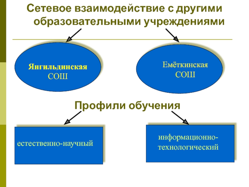 Сетевое взаимодействие с другими образовательными учреждениями       Янгильдинская СОШ  Емёткинская СОШ