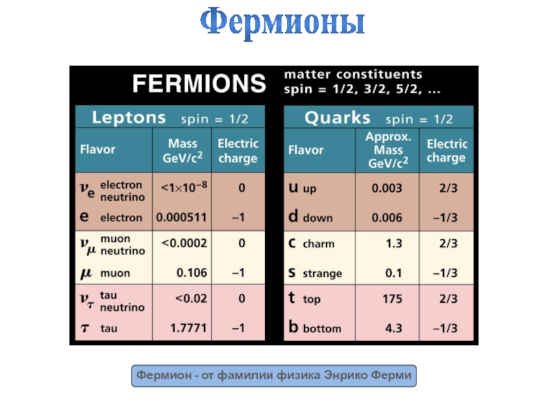 Фермионы  Фермион - от фамилии физика Энрико Ферми