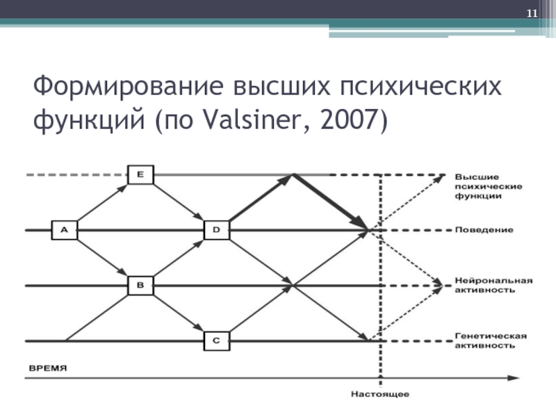 Формирование высших психических функций (по Valsiner, 2007)