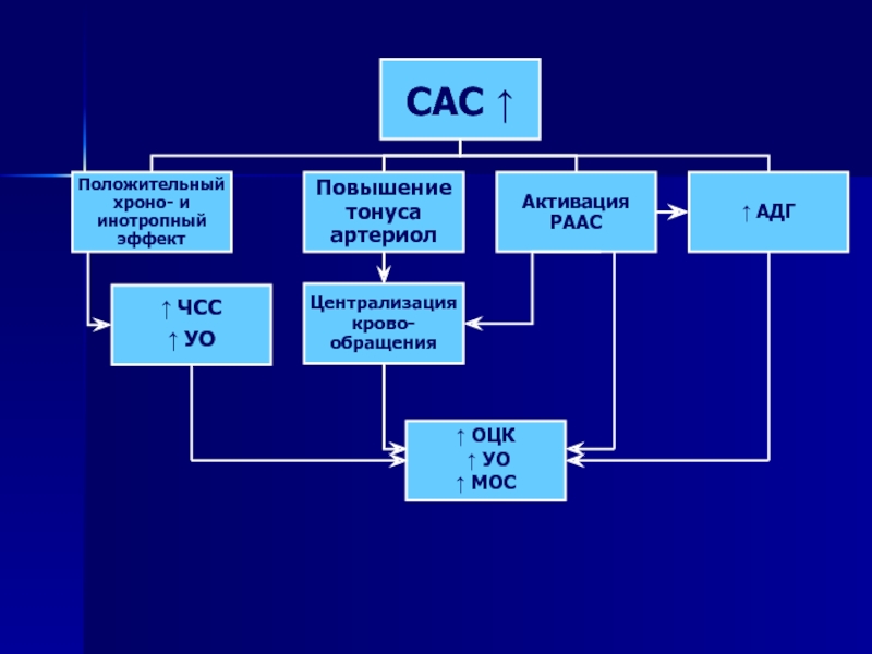 ОЦК канал связи. Положительный Хроно и инотропный эффект. Основной цифровой канал. САС система медицина.