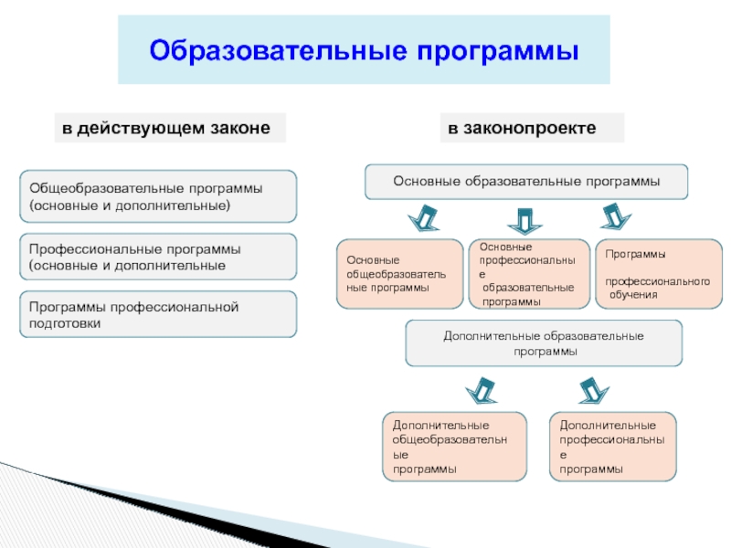 Основные и дополнительные образовательные