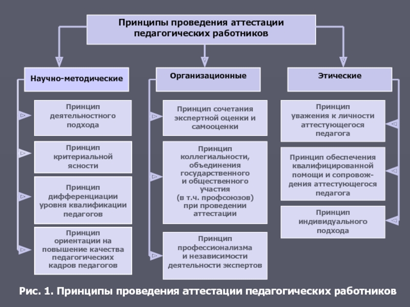 Принципы осуществления. Этические принципы при аттестации педагогических работников. Аттестация педагогических кадров. Показатели аттестации педагогических кадров образования. Этапы проведения аттестации педагогов.