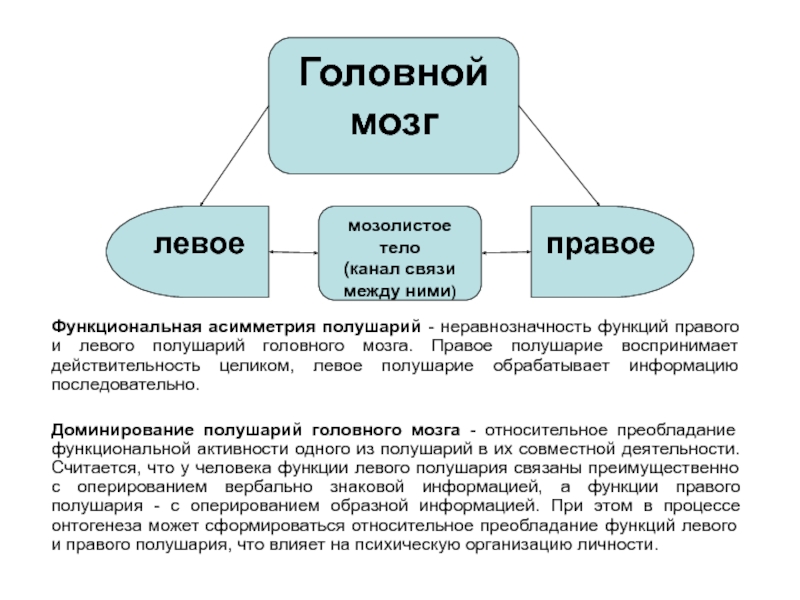 Мозолистое тело картинка