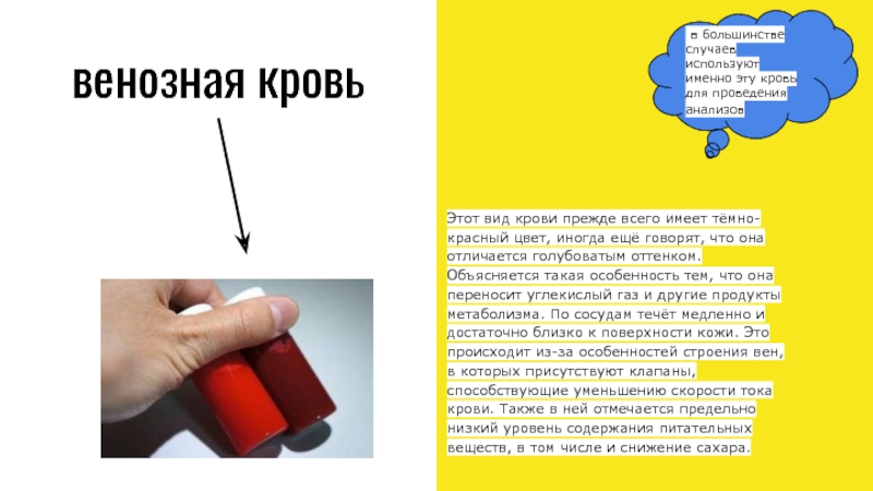 Железо в венозной крови. Артериальная кровь цвет. Цвет венозной крови человека. Какого цвета кровь из вены.