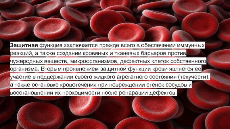 Какие защитные функции выполняет кровь