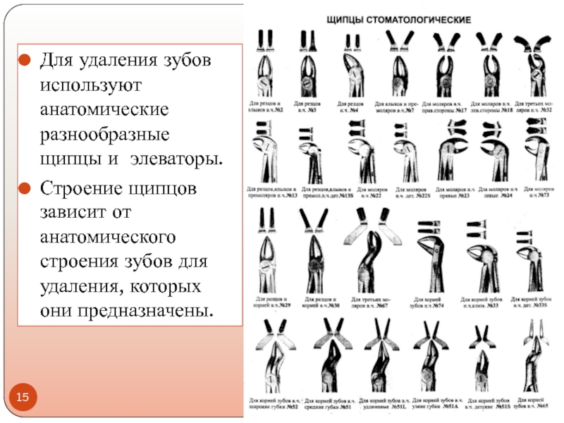 Щипцы стоматологические для удаления зубов названия и фото