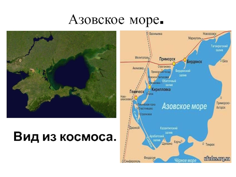 Азовский залив на карте. Азовское море на карте. Реки впадающие в Азовское море на карте. Азовское море наткарте. Заливы Азовского моря.