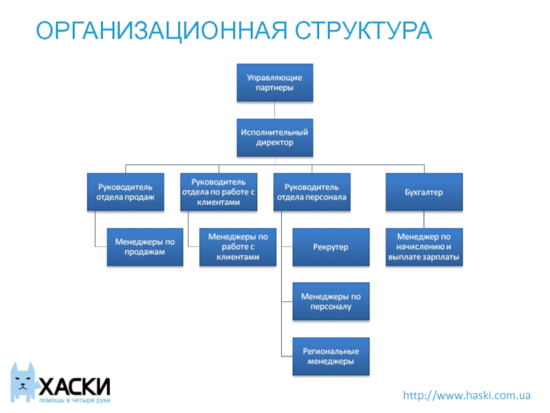 Варианты структура. Исполнительный директор в организационной структуре. Организационная структура управления исполнительный директор. Структура директор исполнительный директор. Структура предприятия с исполнительным директором.