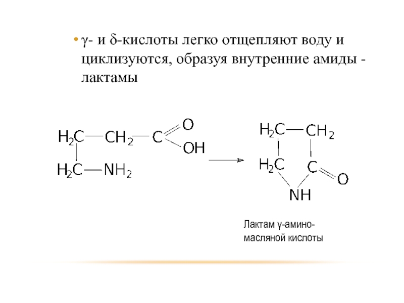 Гидролиз бутановой кислоты. Лактам 4 аминомасляной кислоты. Лактам получение. Образование лактамов из аминокислот. Синтез лактамов из аминокислот.