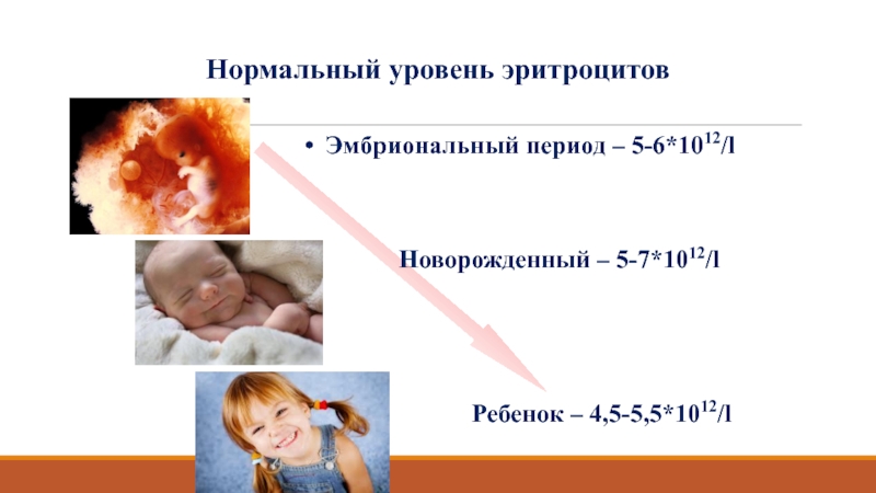 Нормальный уровень эритроцитов  Ребенок – 4,5-5,5*1012/l Эмбриональный период – 5-6*1012/l Новорожденный – 5-7*1012/l
