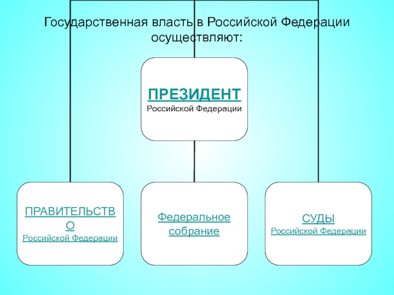 Функции государственной власти в россии