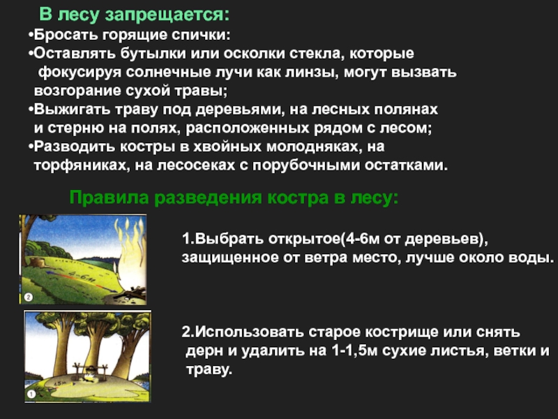 Характеристика лесных пожаров обж. Характеристика лесных и торфяных пожаров. Особенность Лесные и торфяные пожары. ОБЖ Лесные и торфяные пожары и их характеристики. Лесные и торфяные пожары доклад.