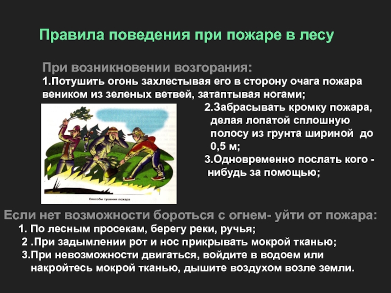 Если вы оказались в зоне лесного пожара. Правила поведения при пожаре в лесу. Правило поведения при пожаре в лесу. Правилаповрдкрия в лесу при пожаре. Правила поведения при Лесном пожаре.