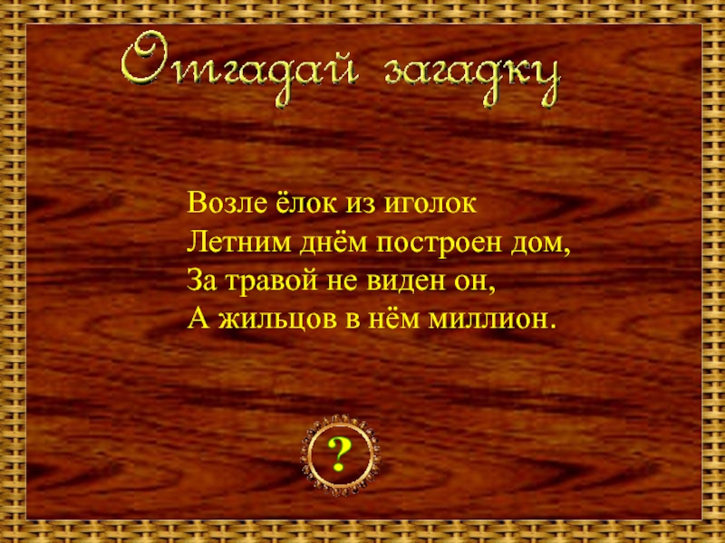 Мастер знай. Шелестя шурша травой проползает кнут живой отгадка. Возле елок из иголок летним днем построен дом. Возле ёлок из иголок летним днём построен. Шелестя, шурша травой. Проползает кнут живой. Вот он встал.