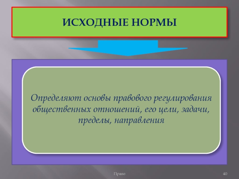 Правовые нормы определение. Специальные нормы права. Исходные нормы права. Исходные нормы примеры. Исходные правовые нормы примеры.