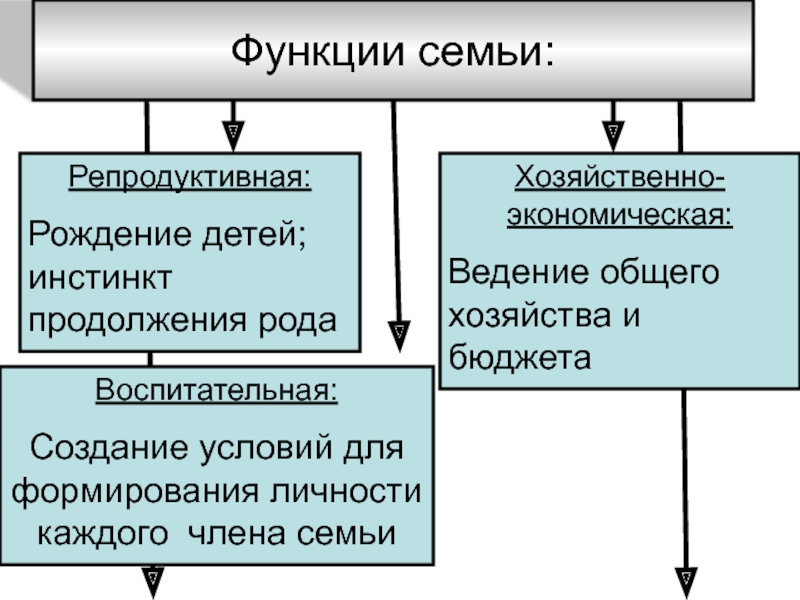 Факт ведения совместного хозяйства