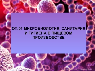 Особенности сапрофитных и патогенных микроорганизмов. Инфекция и иммунитет