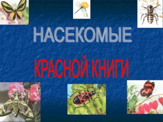 Насекомые Красной книги