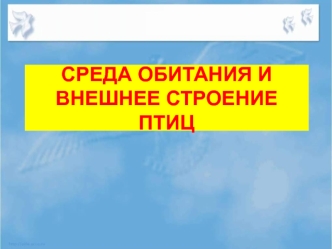 Среда обитания и внешнее строение птиц