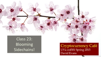 Class 23: Blooming Sidechains