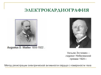 Электрокардиография. Метод регистрации электрической активности сердца с поверхности тела