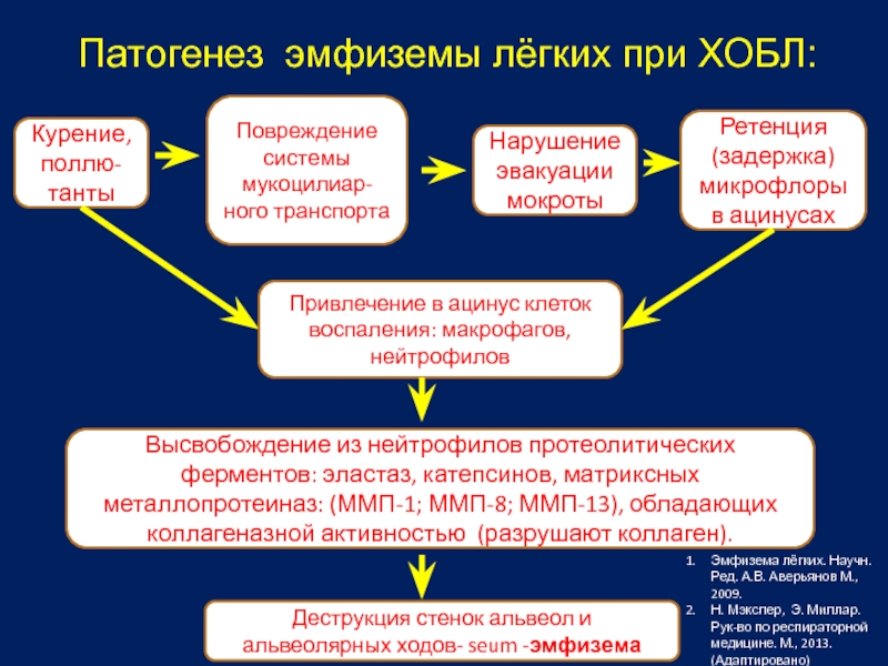 Схема патогенеза хобл