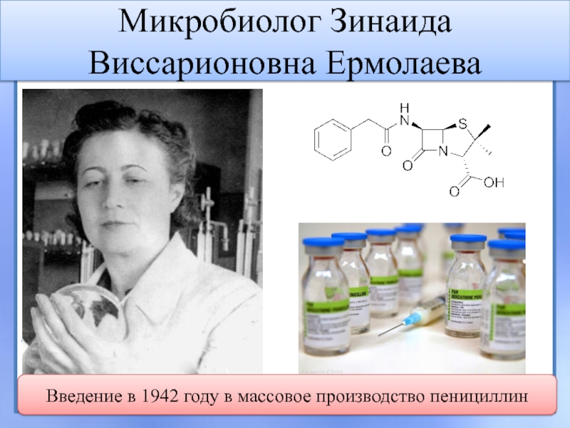 Микробиолог Зинаида Виссарионовна Ермолаева Введение в 1942 году в массовое производство пенициллин