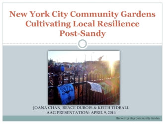 New York City Community Gardens Cultivating Local Resilience Post-Sandy