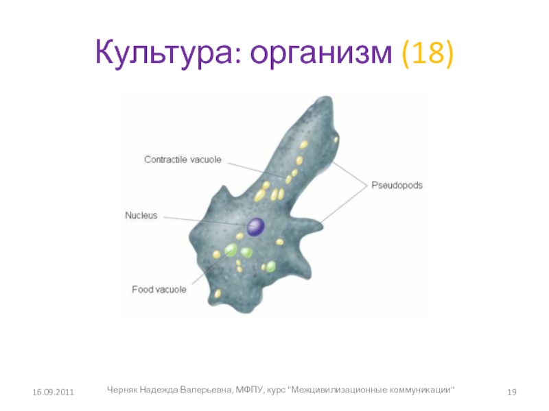 Тест культура организмов. Культурный организм это.