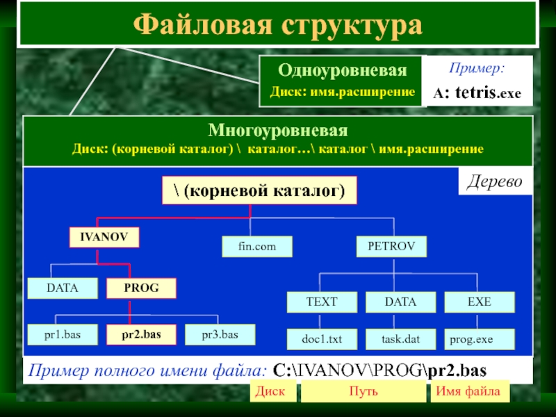 Файлы и файловые структуры 7 класс картинки