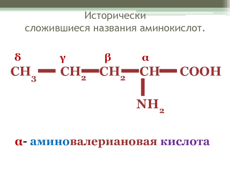 Валерьяновая кислота презентация