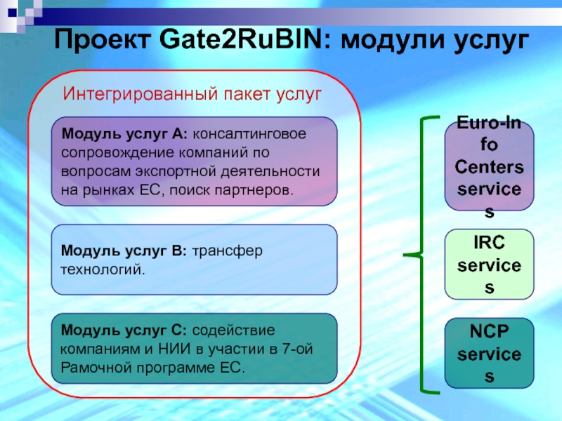 Проект Gate2RuBIN: модули услуг