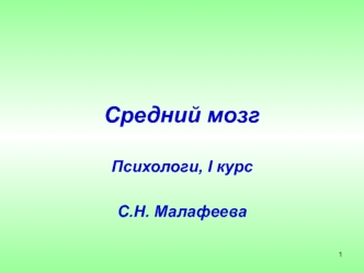 Средний мозг