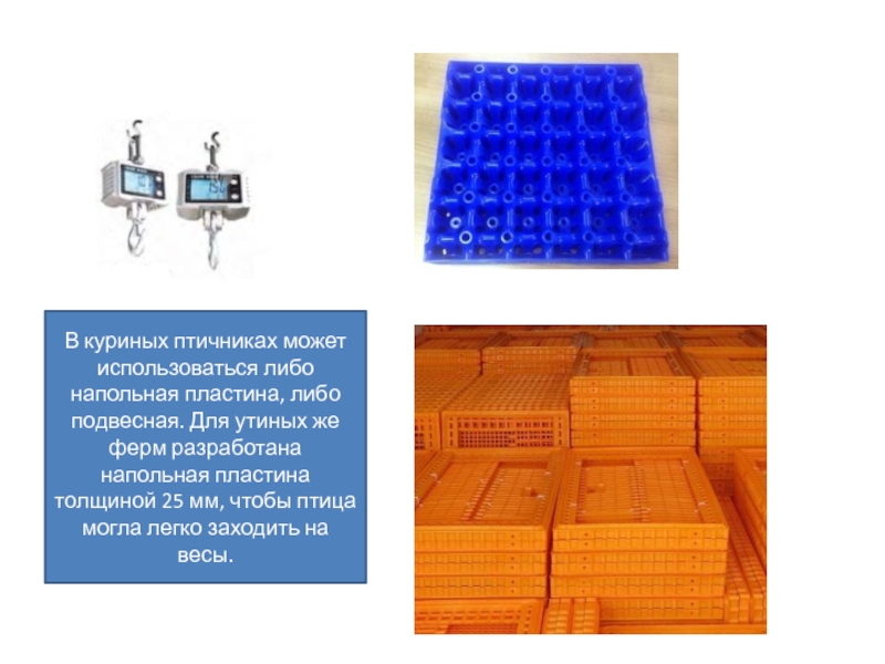 System m+ напольная пластина. Тепло пластины для птицеводов.