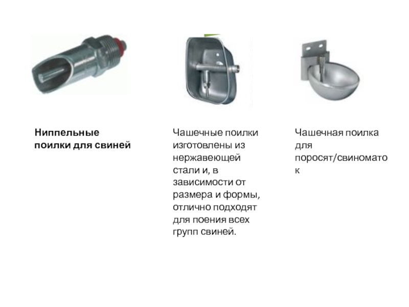 Чертеж поилки для свиней