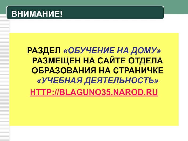 Индивидуальное обучение на дому презентация