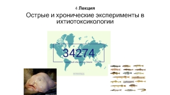 Острые и хронические эксперименты в ихтиотоксикологии